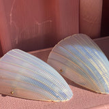Pearlescent Murano glass wall lights C.1970