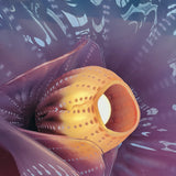 glass clam wall light murano