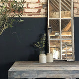 1950s French Iron Windows